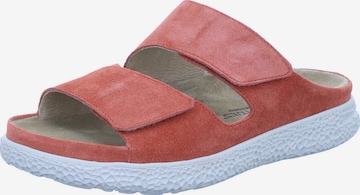 GABOR Pantolette 'GROOVE NATURAL' in Rot: Vorderseite