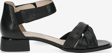 CAPRICE Sandals in Black