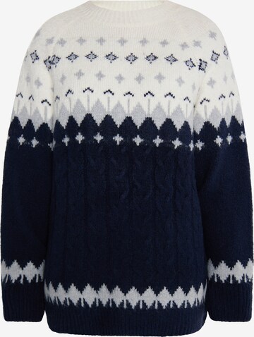 Pull-over usha BLUE LABEL en bleu : devant