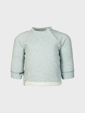 OrganicEra Sweatshirt in Green