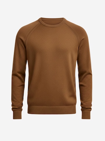 Il Lanificio Knit Cardigan in Brown: front