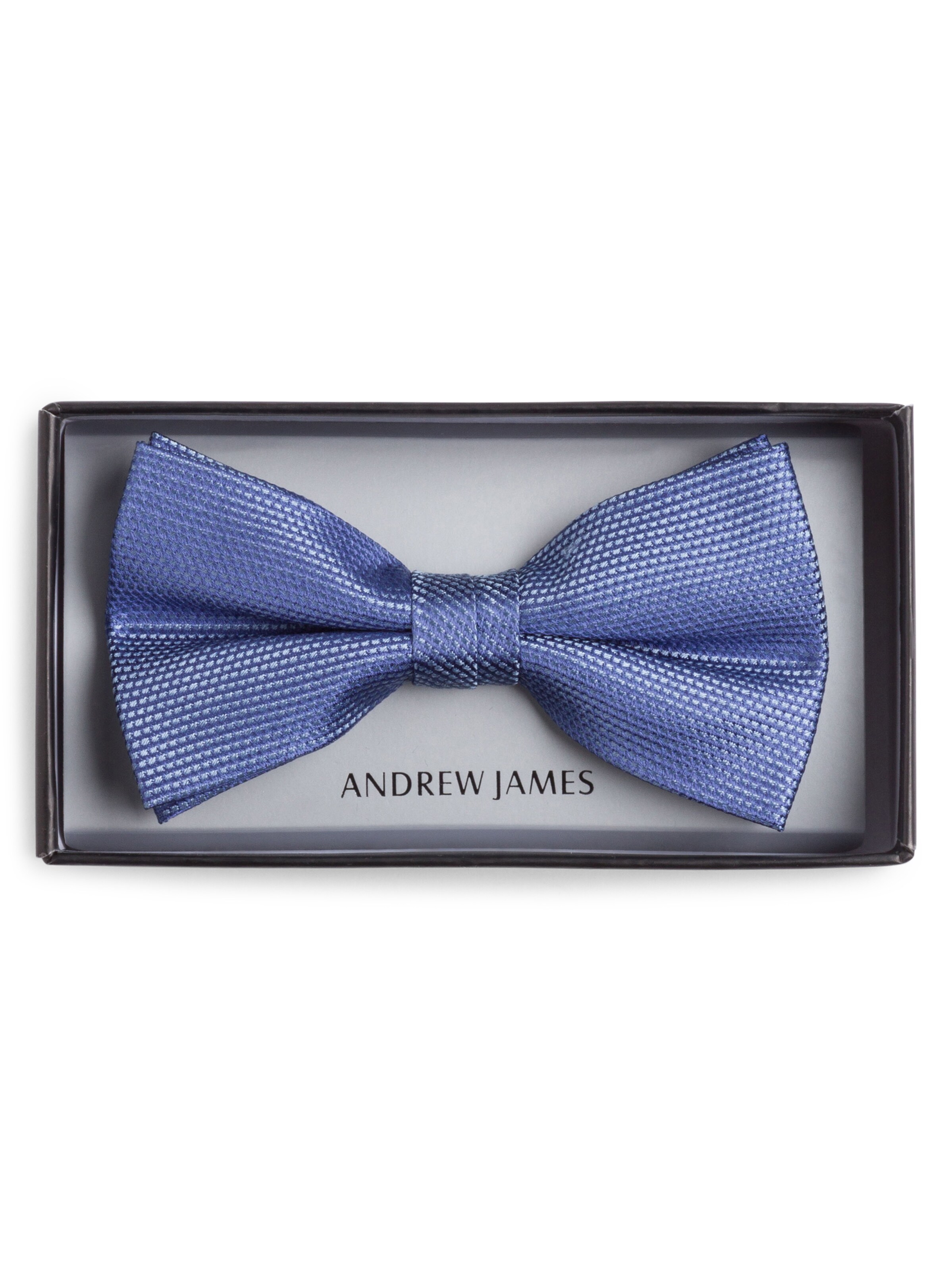 Andrew James Bow Tie in Blue