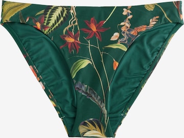 žalia Next Bikinio kelnaitės: priekis