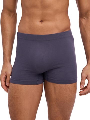 FALKE Boxershorts 'Seamless' in Grau: Vorderseite