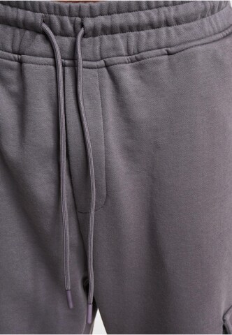 regular Pantaloni cargo 'Ice' di DEF in grigio
