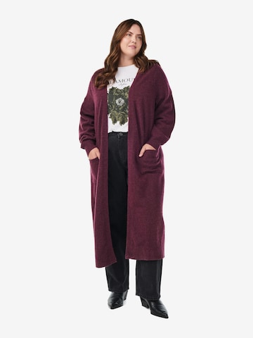 ZizziŠiroki kardigan 'Cavista' - crvena boja: prednji dio