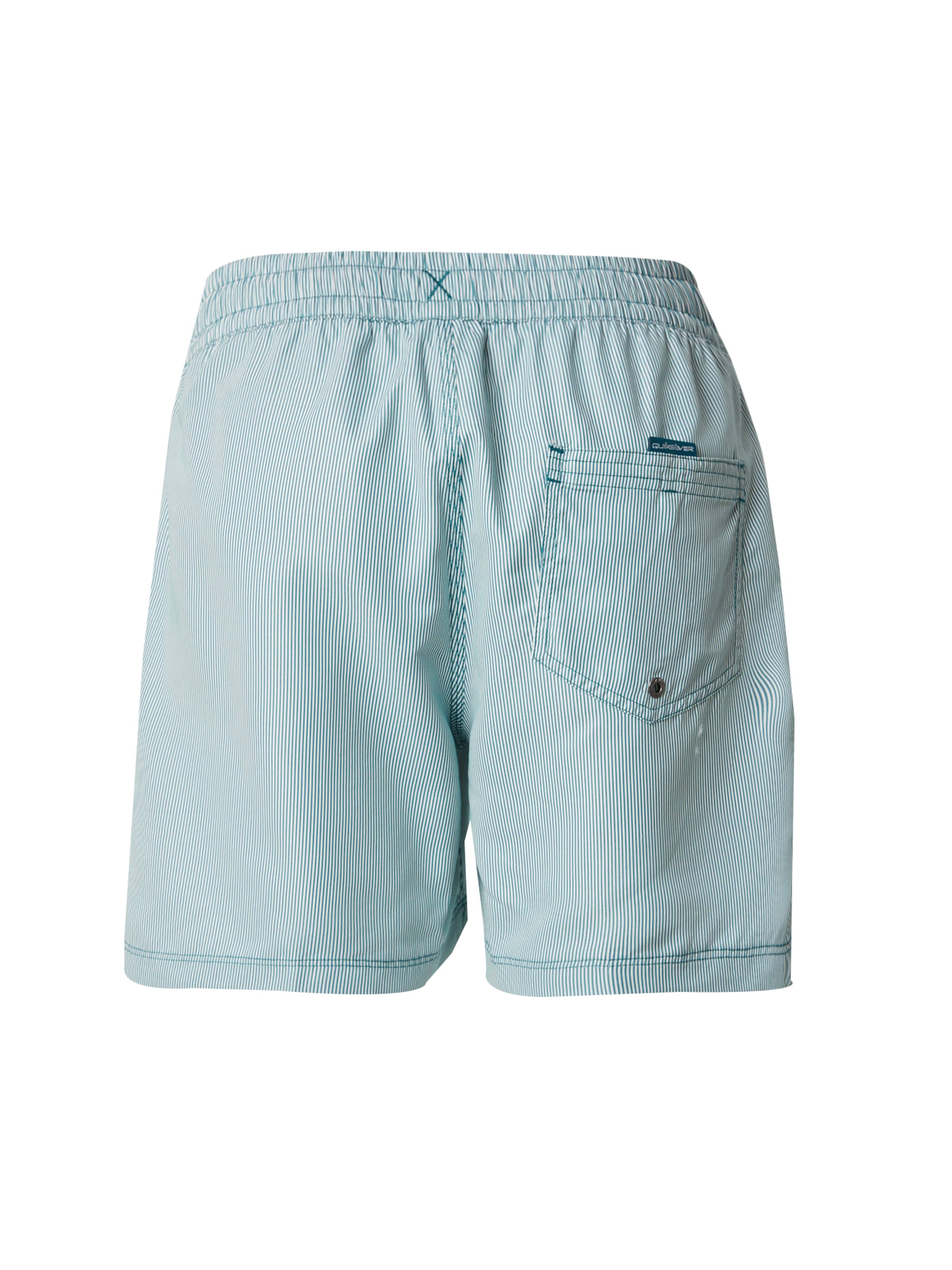 Pantaloncini da bagno 'Everyday Deluxe 15' di QUIKSILVER in verde