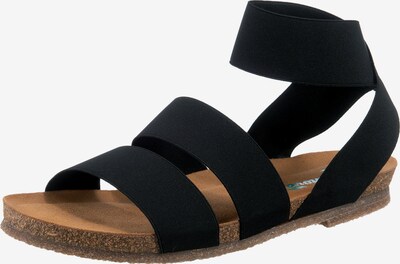 Greenova Sandalen in schwarz, Produktansicht
