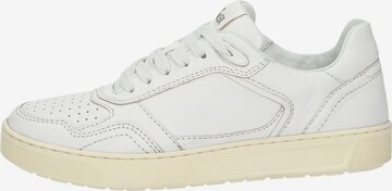 SIOUX Sneakers 'Tedroso-700' in Silver