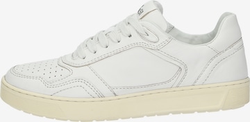 SIOUX Sneakers laag 'Tedroso-700' in Zilver