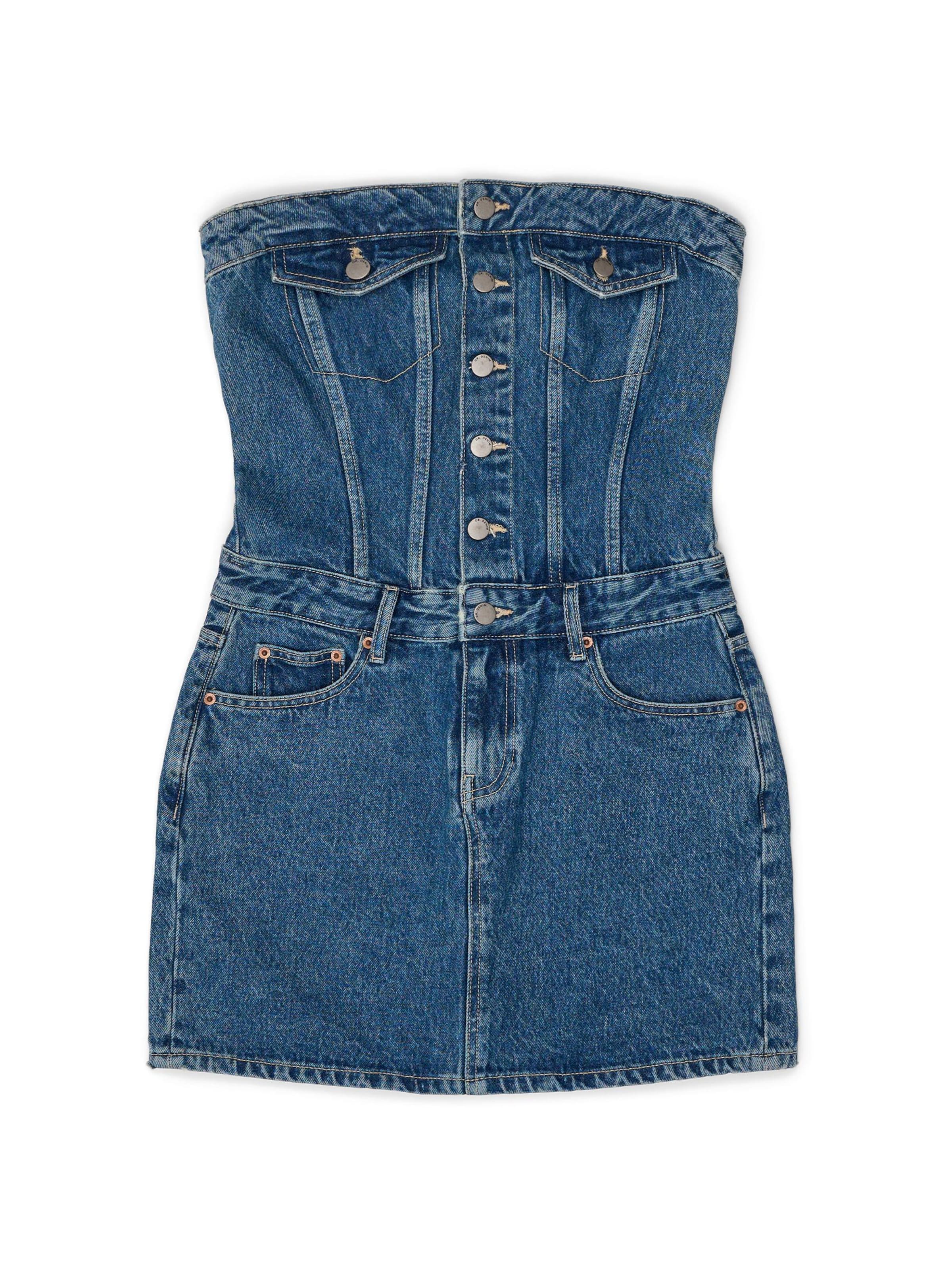 Dr. Denim Kleid 'Carlisle'‌‌‌‌‌‌‌‌ in Blau: Vorderseite