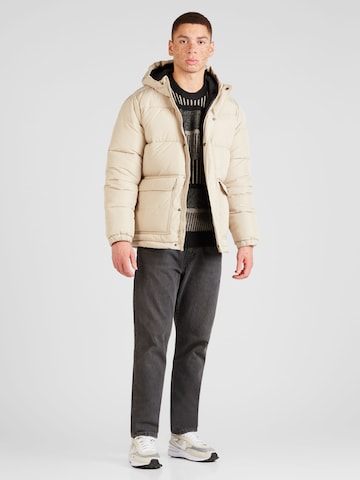 Giacca invernale 'TAN' di HOLLISTER in beige