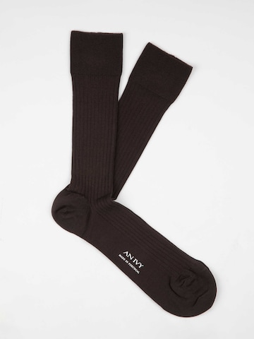 AN IVY Sokker i brun: forside