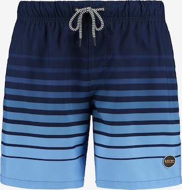 Shiwi Плавательные шорты в Синий: спереди