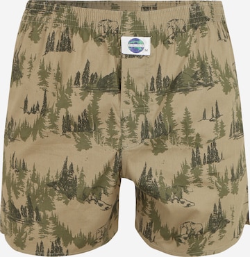D.E.A.L International Boxer shorts 'Wald' in Green: front