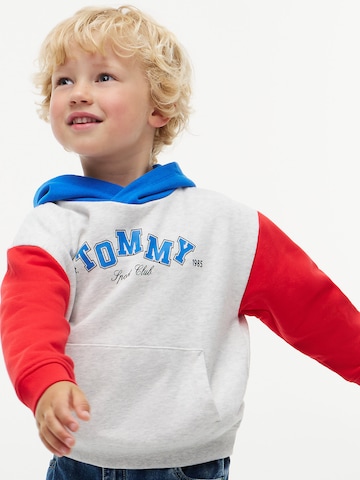TOMMY HILFIGER Sweatshirt in Grijs