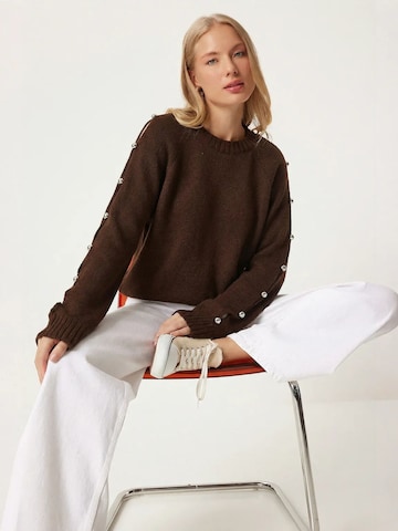 Happiness İstanbul Pullover in Braun