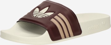 ADIDAS ORIGINALSNatikače s potpeticom 'Adilette' - crvena boja: prednji dio