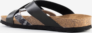 Bayton Mules 'Alava' in Black