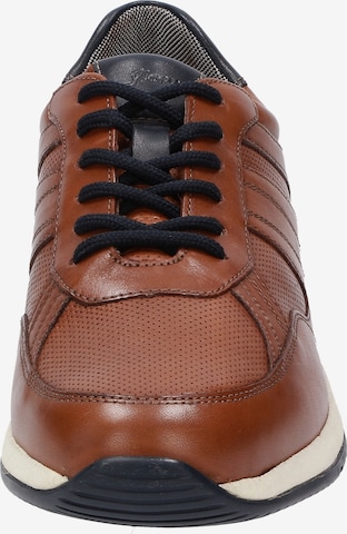 SIOUX Sneakers 'Rojaro' in Brown