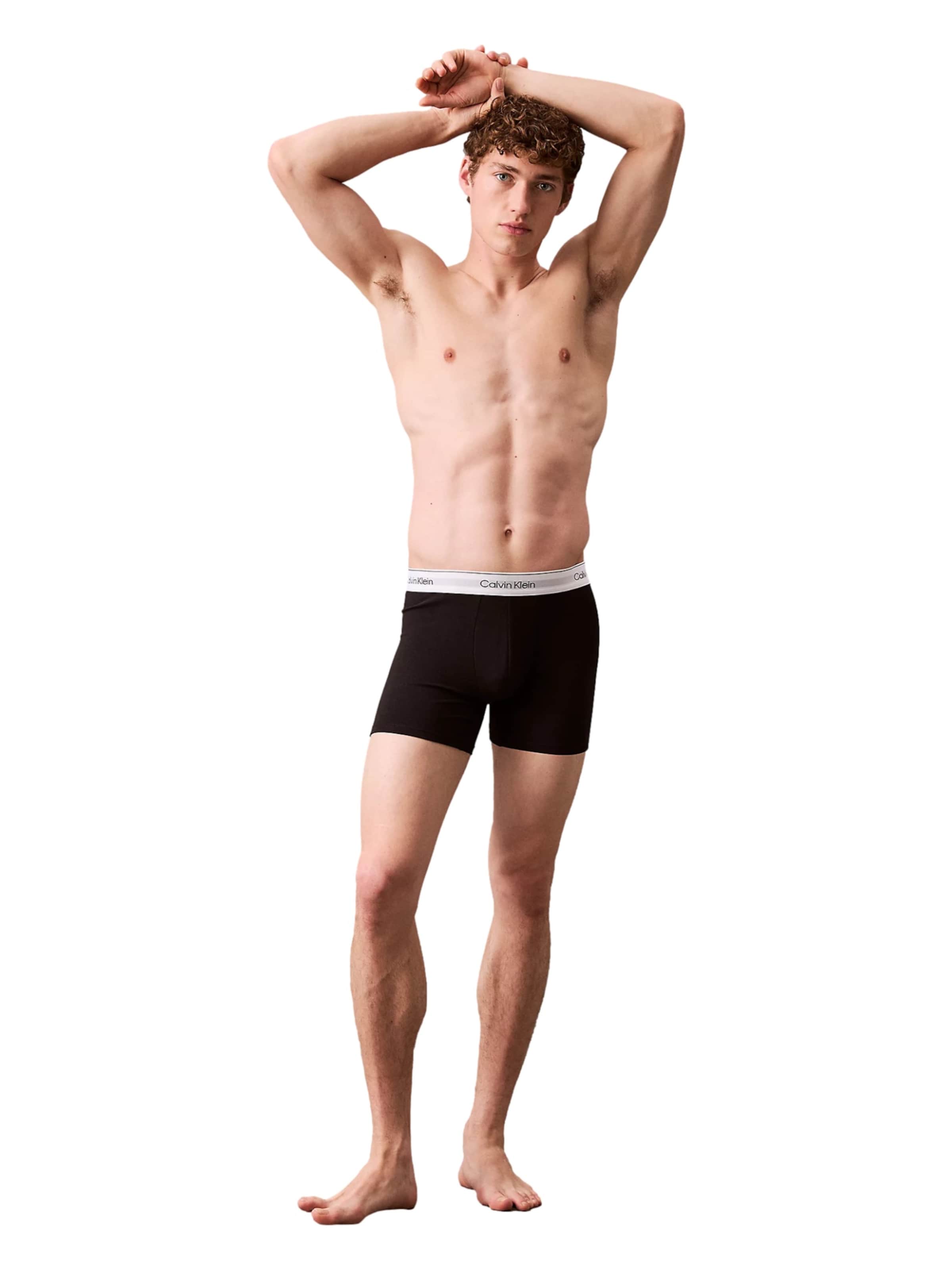 mišri Calvin Klein Underwear Boxer trumpikės