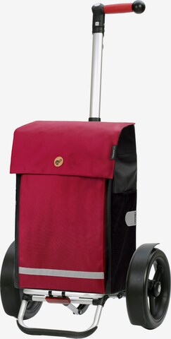 Andersen Shopper Cart 'Martje' in Red: front