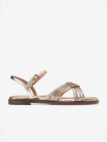 Cole Haan Riemensandale 'JITNEY' in Gold: Vorderseite