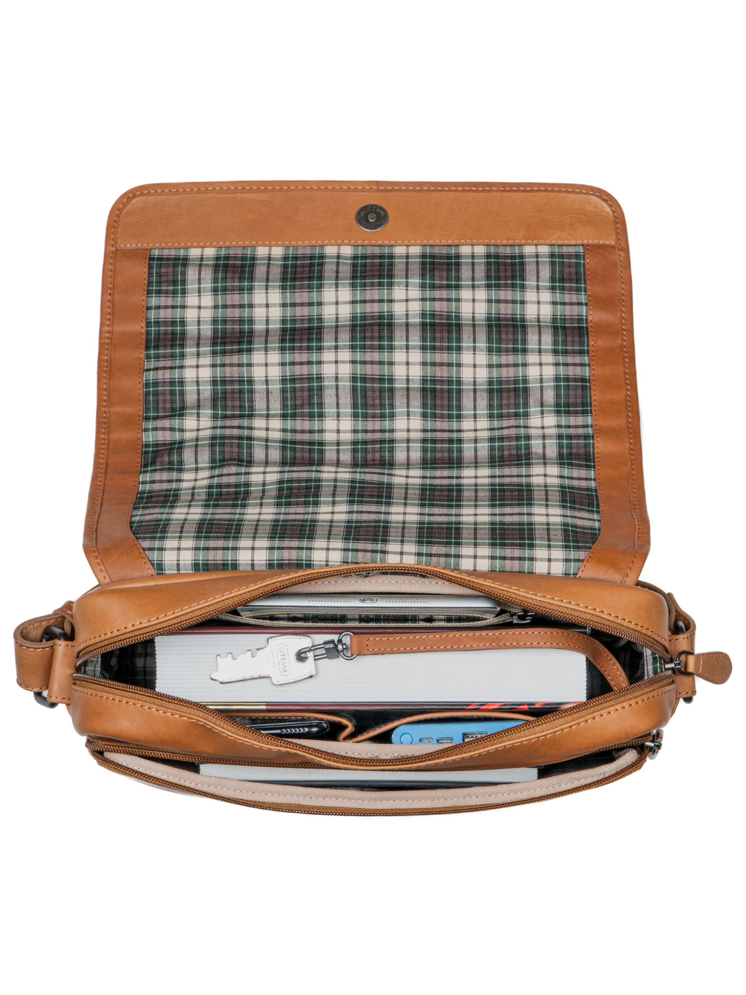 Benthill Messenger 'Messenger' in Brown