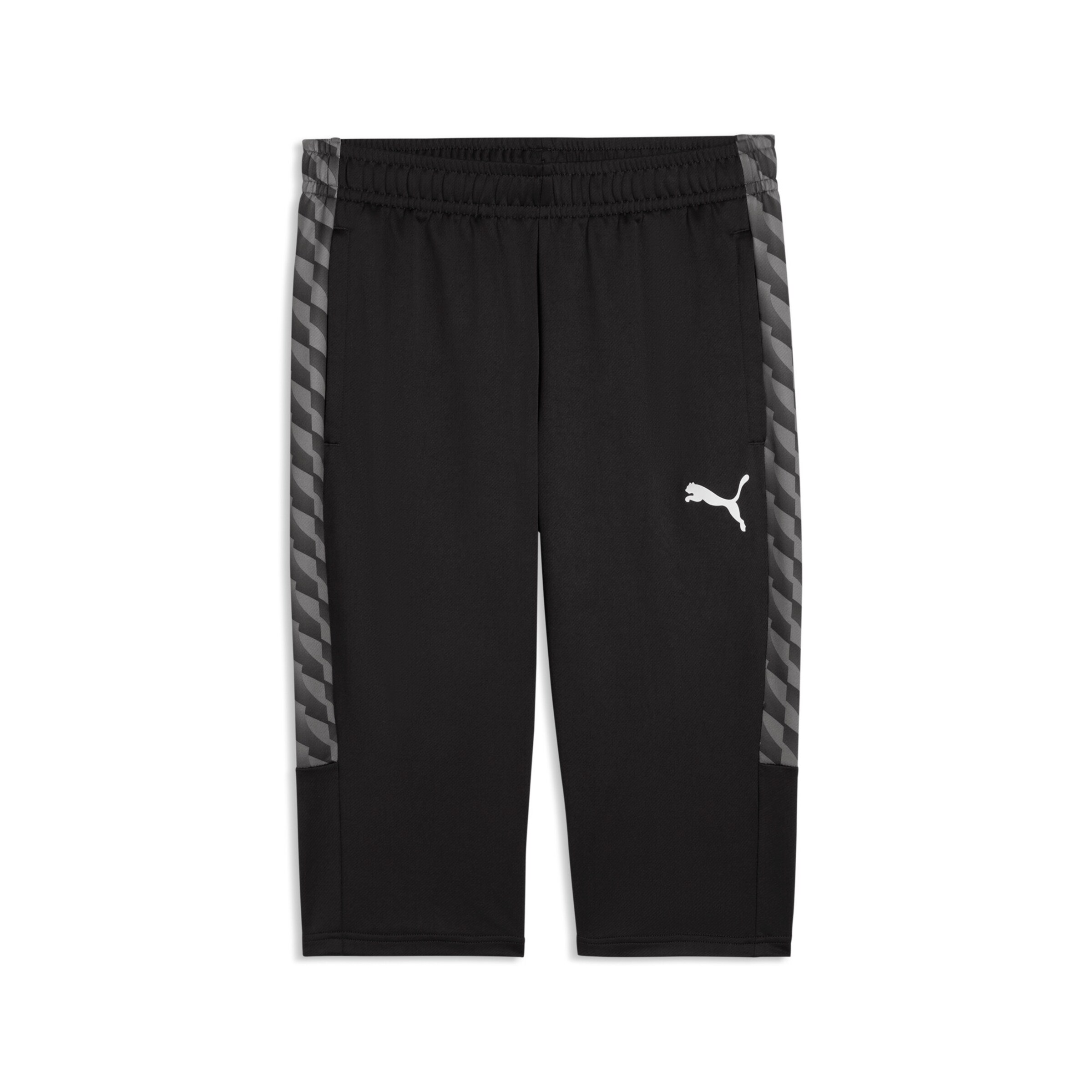 PUMA Hose in Grau: Vorderseite
