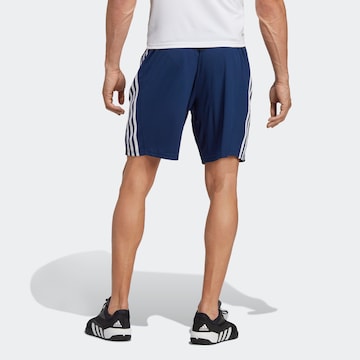 ADIDAS PERFORMANCE Regular Sportbroek 'Essentials' in Blauw