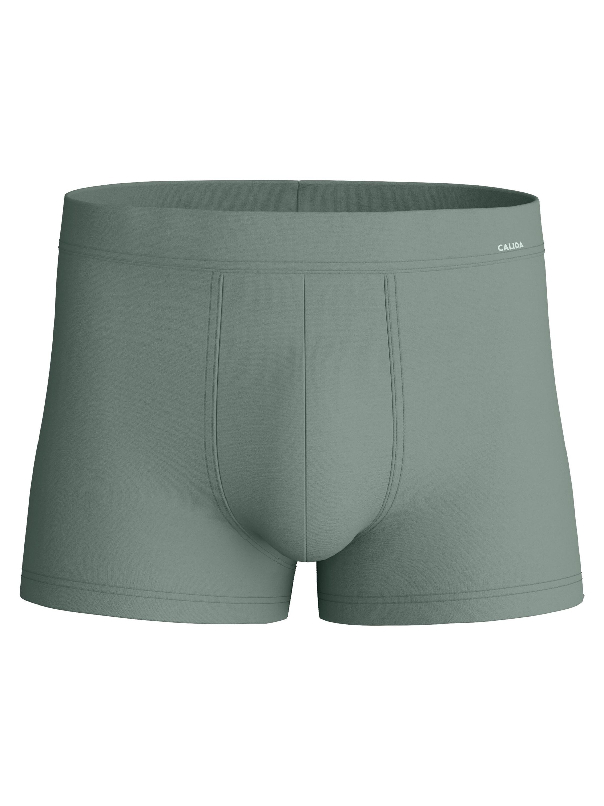CALIDA Boxer shorts 'Balanced Day' in XL in Reed, Item view