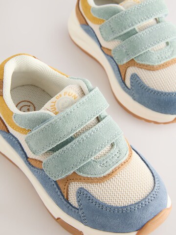 Next Trainers in Blue