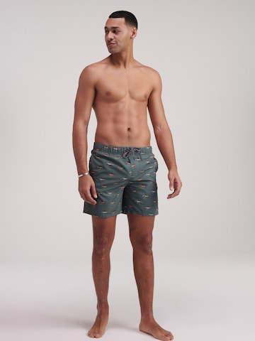 Shorts de bain 'Go Fish' Shiwi en vert