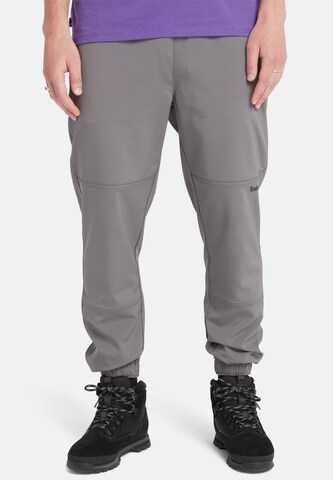 TIMBERLAND Regular Pants in Grey: front