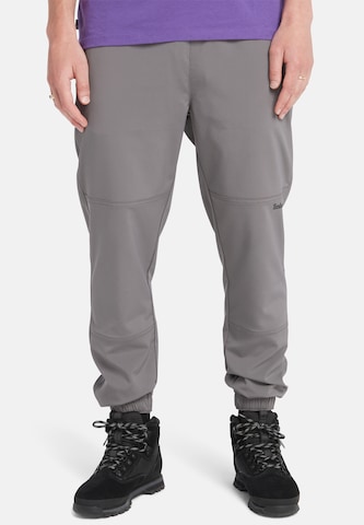 TIMBERLAND Regular Hose in Grau: predná strana