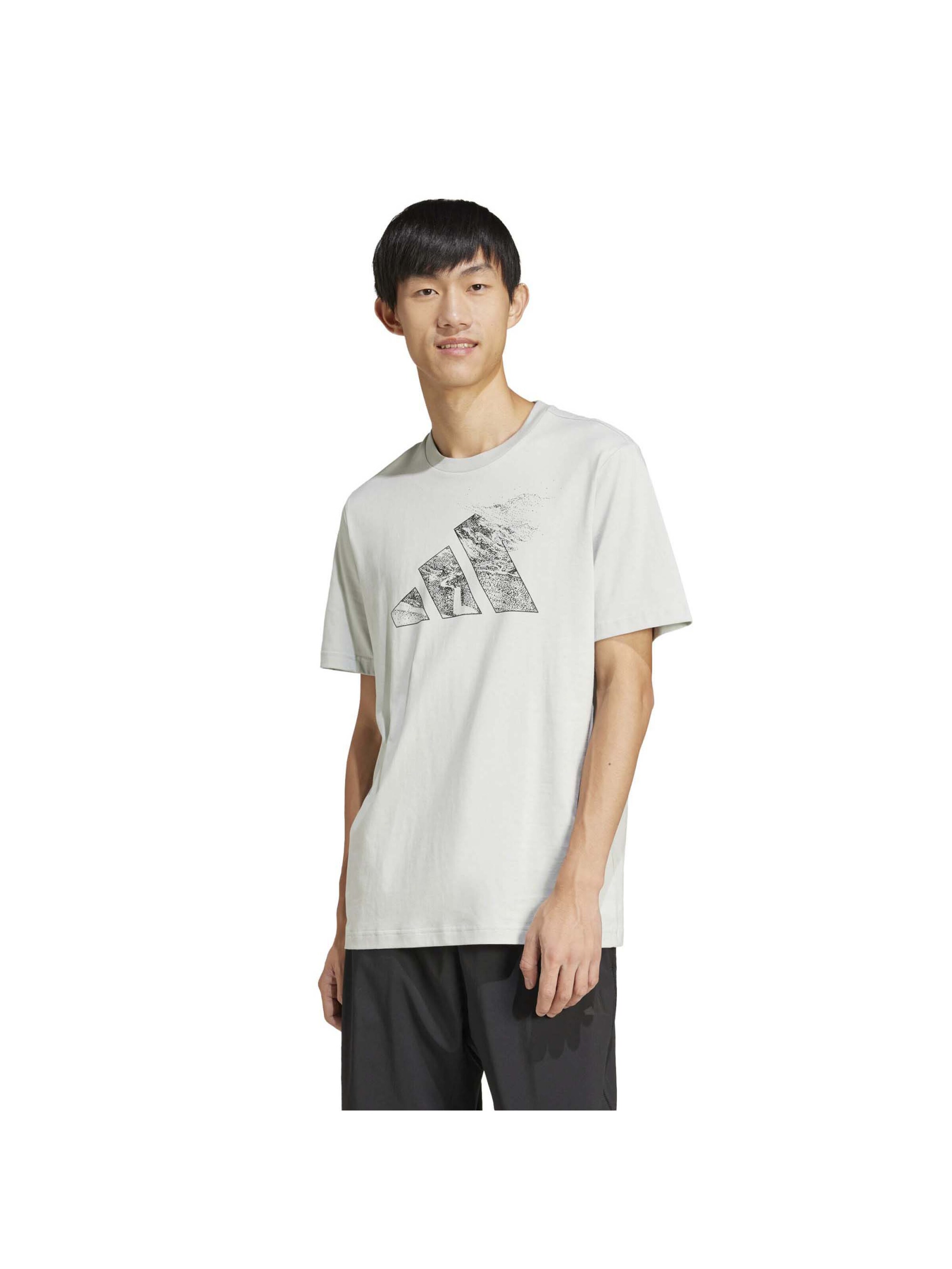 T-Shirt fonctionnel 'M T Ce' ADIDAS SPORTSWEAR en blanc : devant