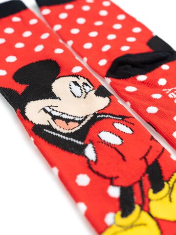 Disney Minnie Mouse Socks in Mixed colours