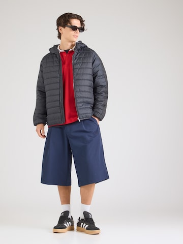 Giacca invernale di ADIDAS ORIGINALS in grigio