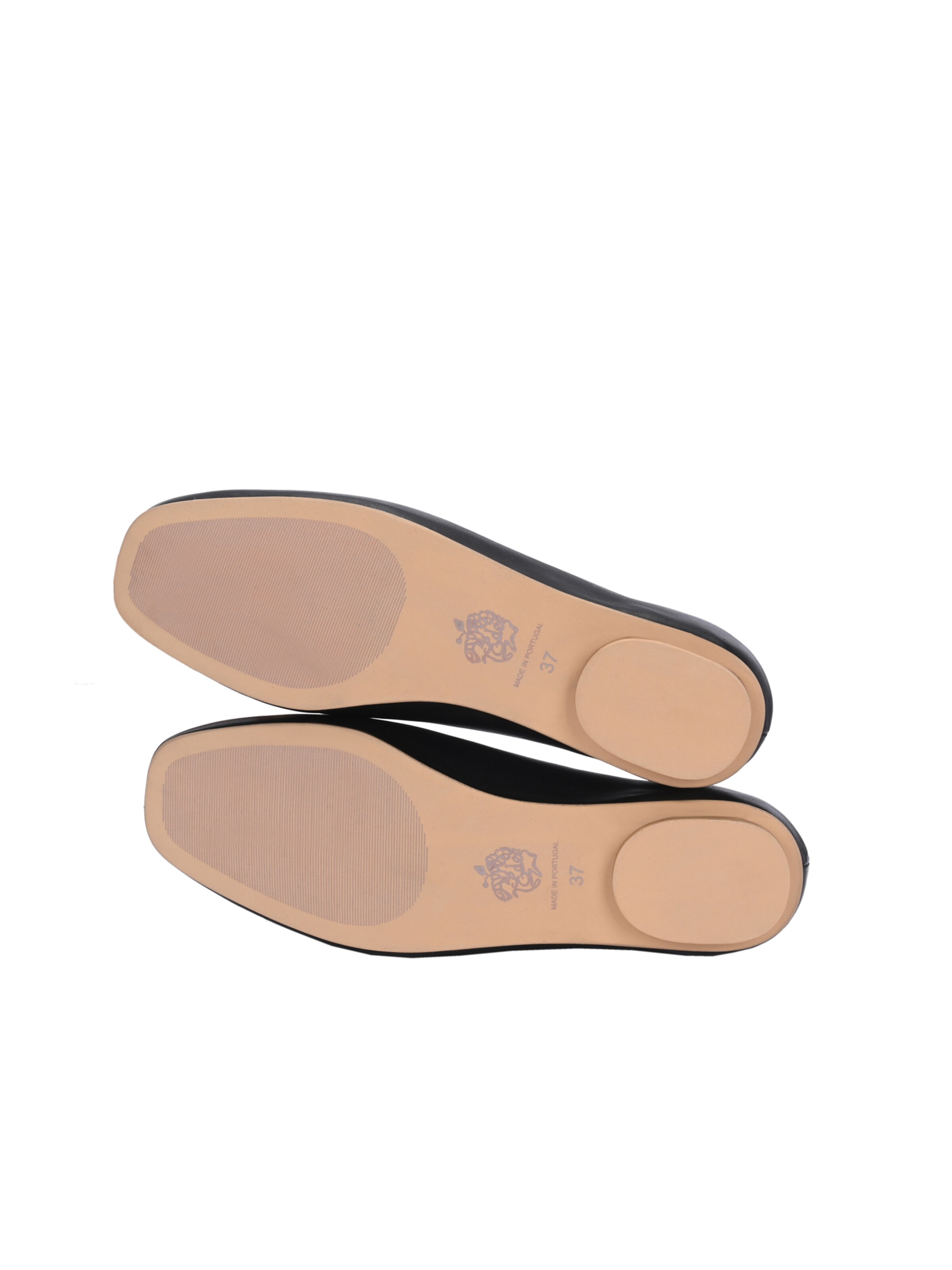 Apple of Eden Ballerina 'Ziv' in Zwart