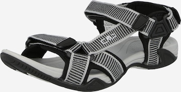 CMP Sandals 'Hamal' in Grey: front