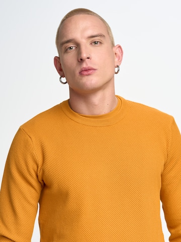 BIG STAR Sweater ' REYLI ' in Orange