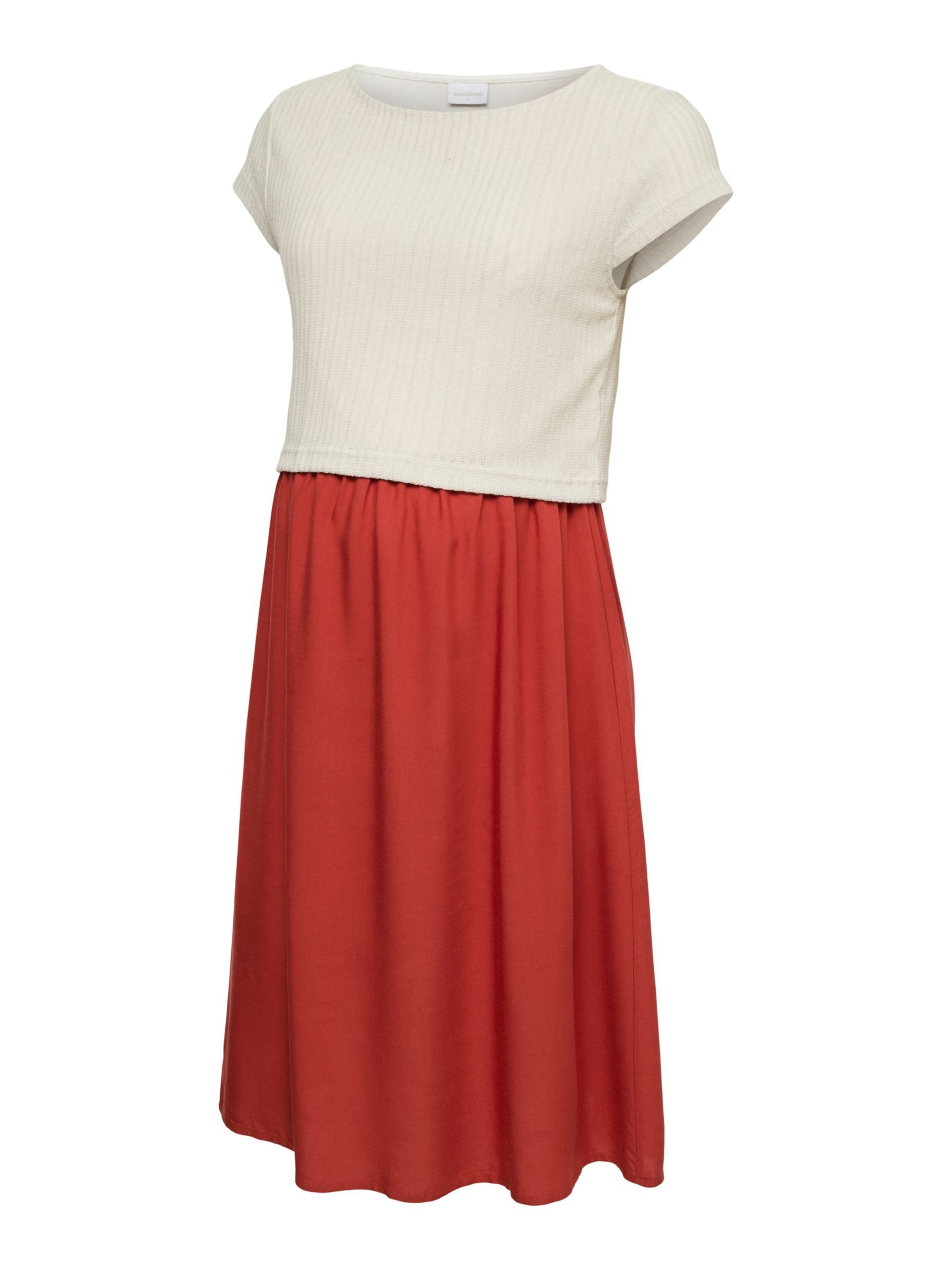 MAMALICIOUS Dress 'MLZandra June' in 34 in Cranberry / Wool white, Item view