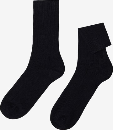 CALZEDONIA Socken in Blau: Vorderseite