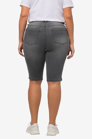 Ulla Popken Slimfit Shorts in Grau