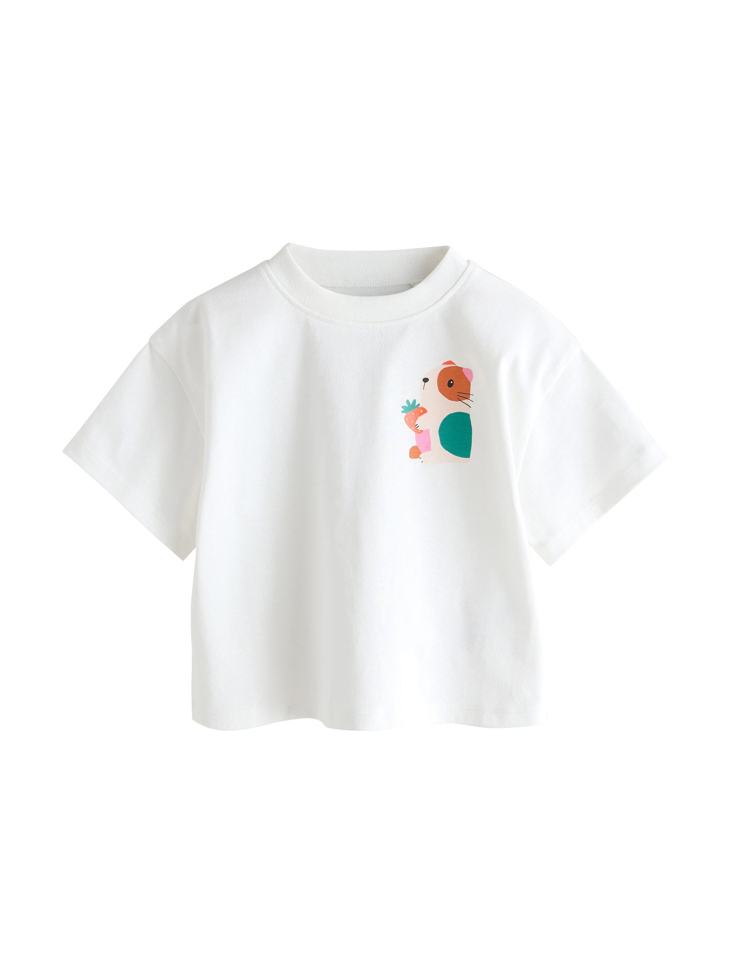 Next Shirt in Gemengde kleuren