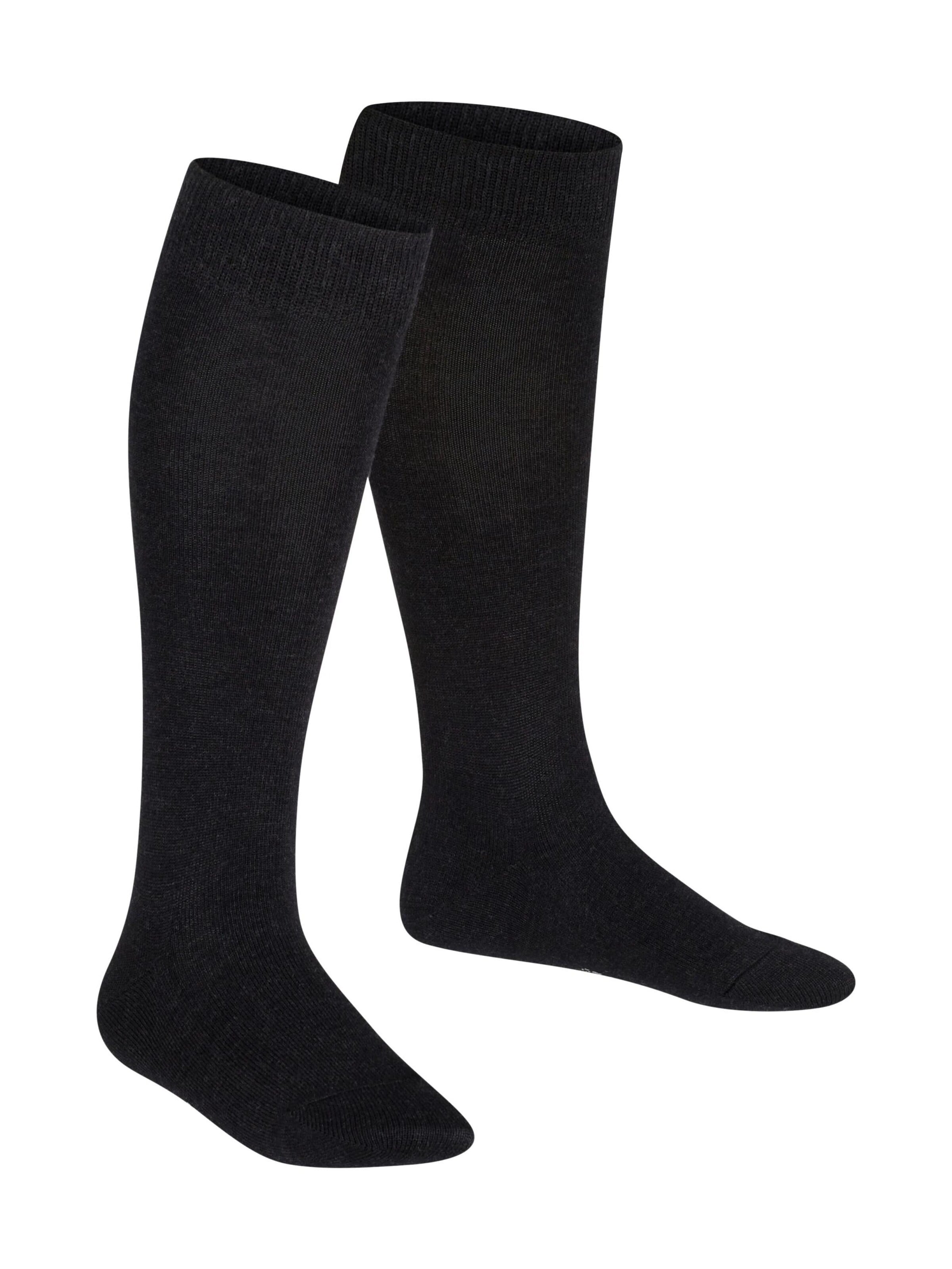 FALKE Socks 'Family' in Grey