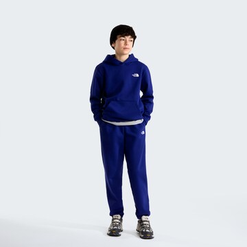 THE NORTH FACE Athletic Sweatshirt in Blue