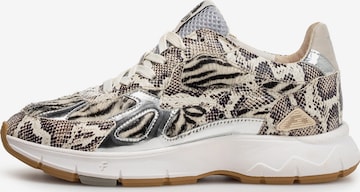 Floris van Bommel Sneaker 'Daysi 07' in Schwarz: Vorderseite