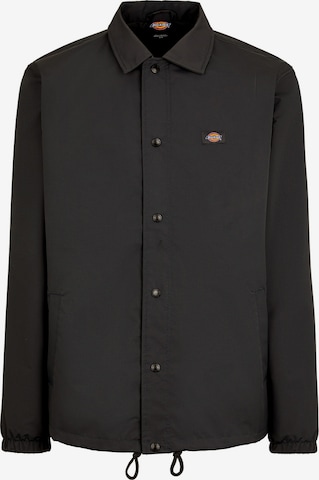 pilka DICKIES Demisezoninė striukė: priekis