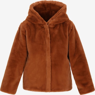 Veste mi-saison taddy en marron : devant